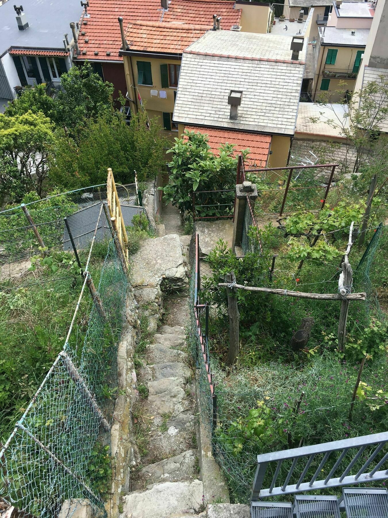 Donadelmar2 Apartment Riomaggiore Exterior foto